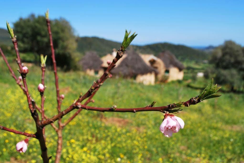 Essenza Sardegna Hotel Torpe ภายนอก รูปภาพ